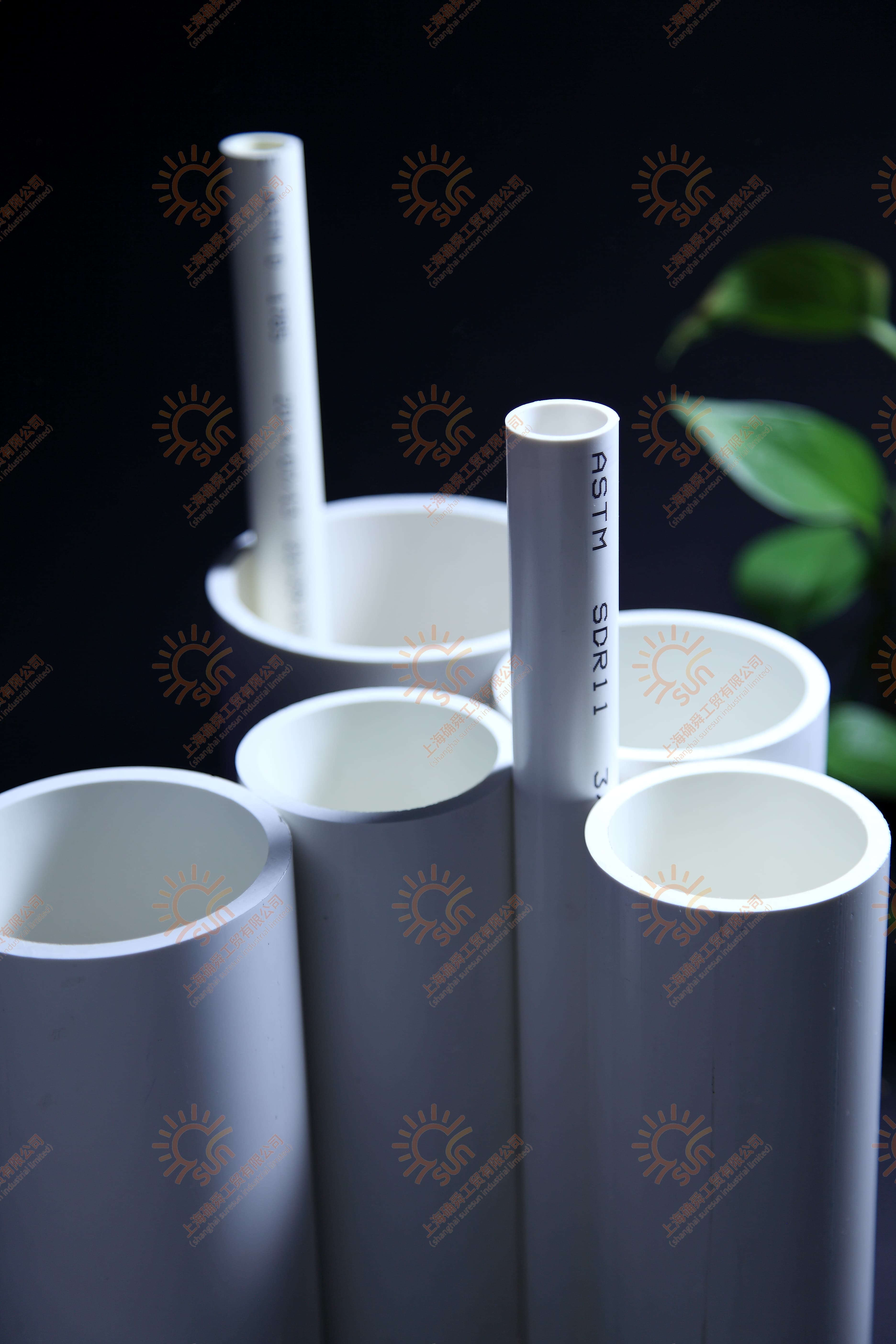 Product Showcase